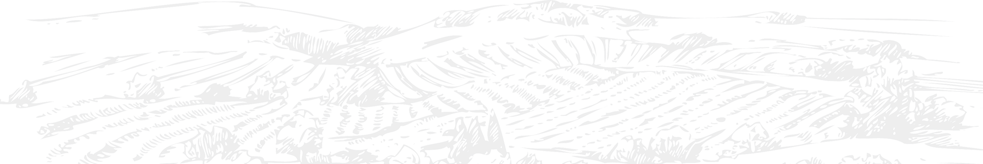 details2