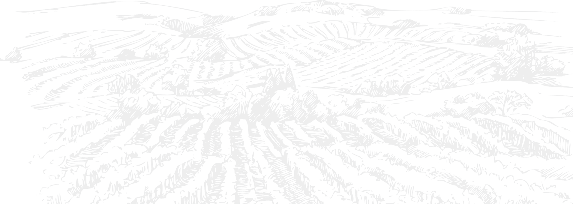 wineListBg3